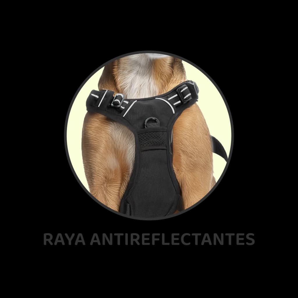 Arnés chaleco reflectante para mascotas