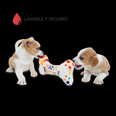 Juguetes de entrenamiento para cachorros 5 unidades