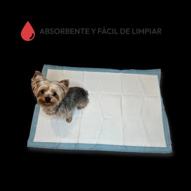 Almohadillas de entrenamiento para mascotas